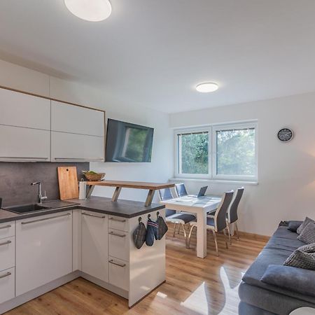 Apartman Cerna V Posumavi Cerna v Posumavi Exterior foto